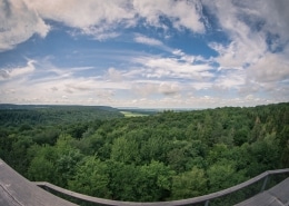 Baumwipfelpfad Steigerwald, Ebrach #4